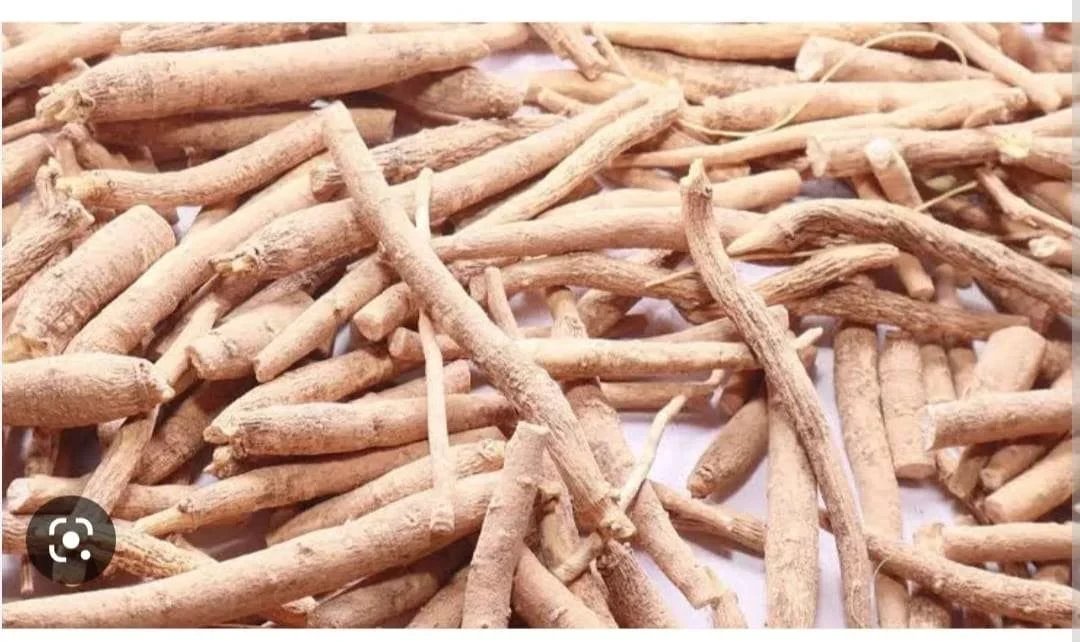 Ashwagandha: The Adaptogenic Powerhouse of Ayurveda