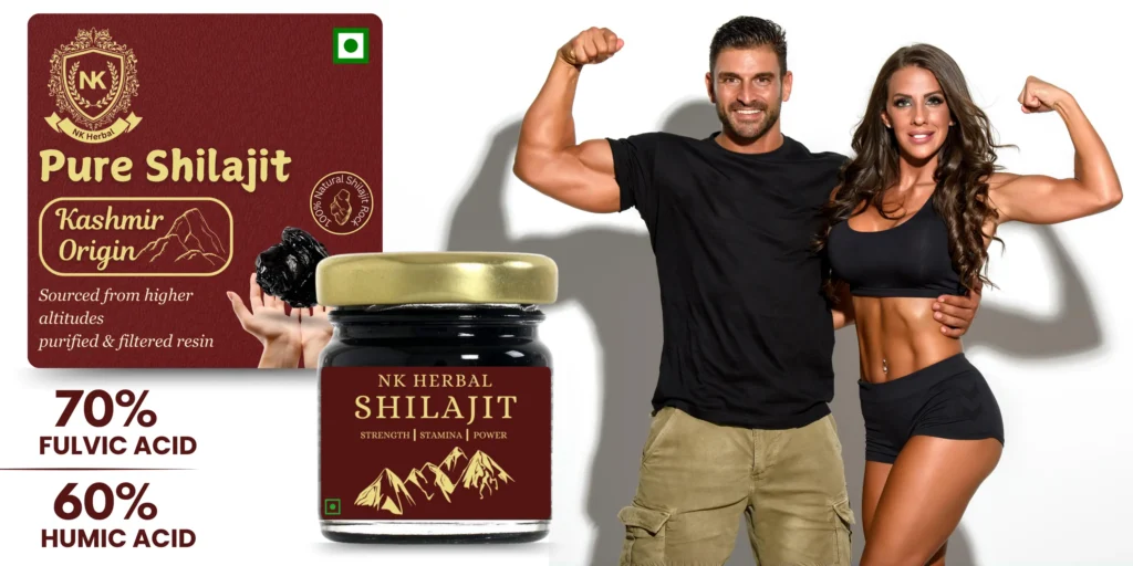 Nutrient Absorption Shilajit