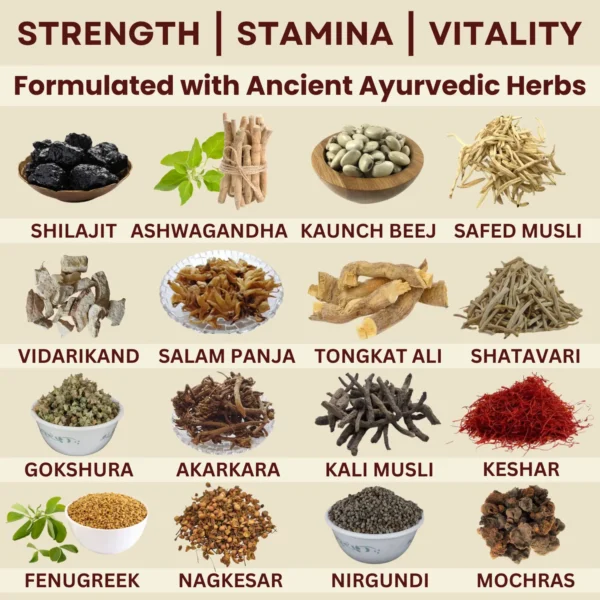 Ayurvedic supplement for boosting testosterone, vitality, and stamina with powerful herbs like Shilajit, Ashwagandha, and Tongkat Ali. Enhances energy, strength, and overall performance.