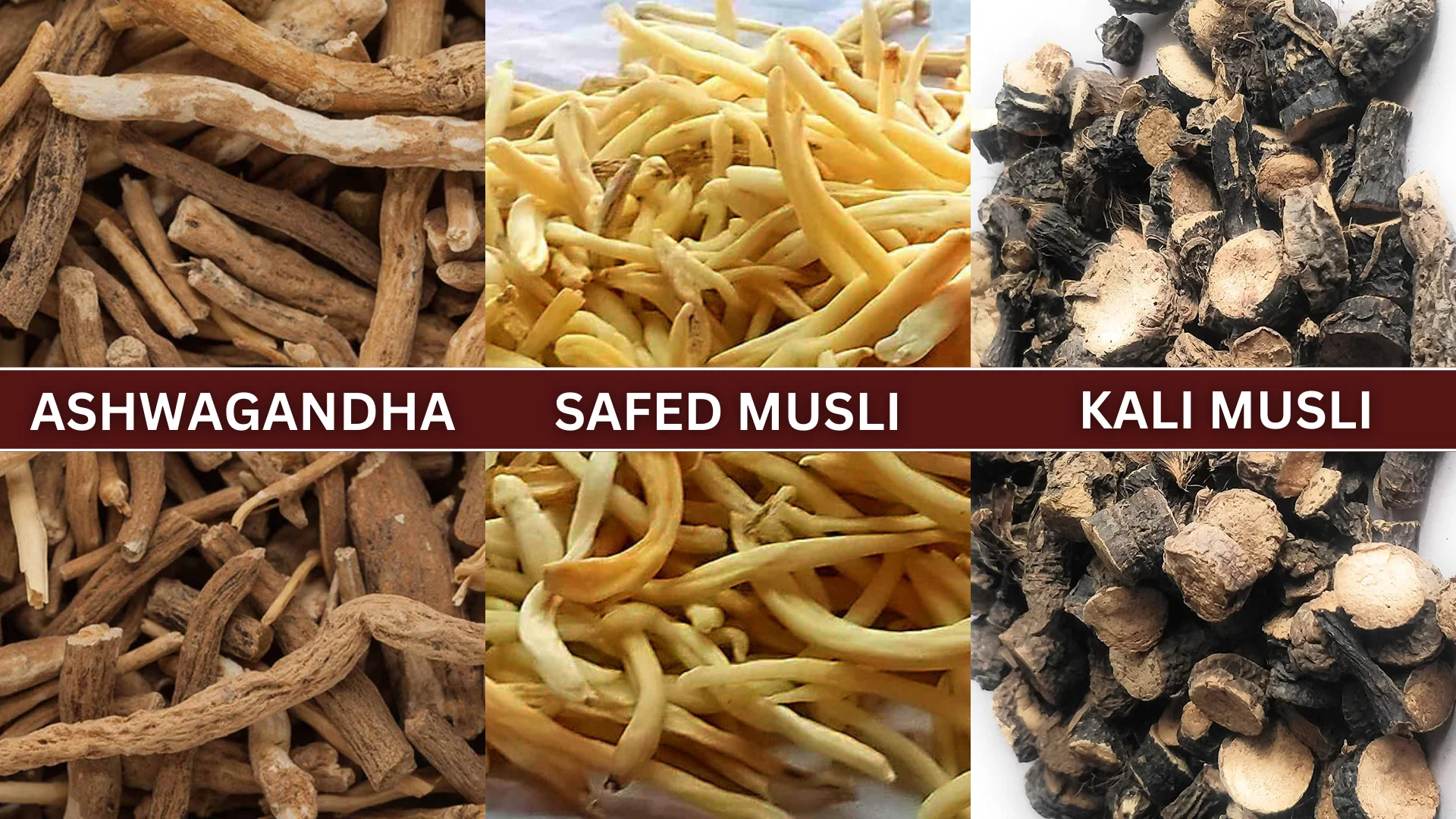 A close-up of three powerful Ayurvedic herbs: Ashwagandha, Safed Musli, and Kali Musli, known for their benefits in strength, stamina, and vitality.