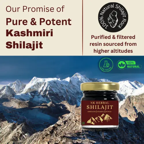 Best Pure Shilajit