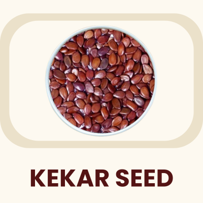 The seeds of the resilient Acacia tree, valued in traditional wellness systems. Primary Benefit: Traditionally used to support physical strength and tissue health.