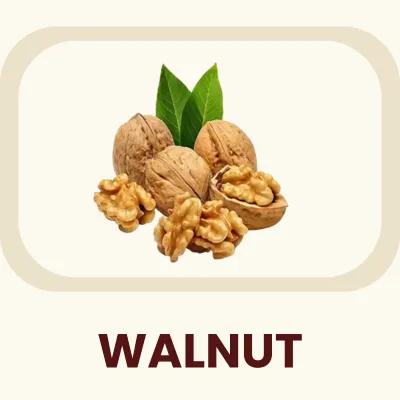 A nutrient-dense stone fruit encasing a wrinkled seed, rich in Omega-3 fatty acids. Primary Benefit: Known to support cognitive health and general well-being.