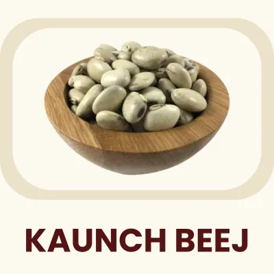 Tropical seeds traditionally used in Ayurveda, recognized as a natural source of L-dopa. Primary Benefit: Helps support healthy reproductive function and nervous system balance.
