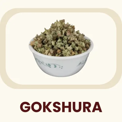 A unique fruit utilized in traditional herbal medicine systems for centuries. Primary Benefit: Supports healthy urinary tract function and general vitality.