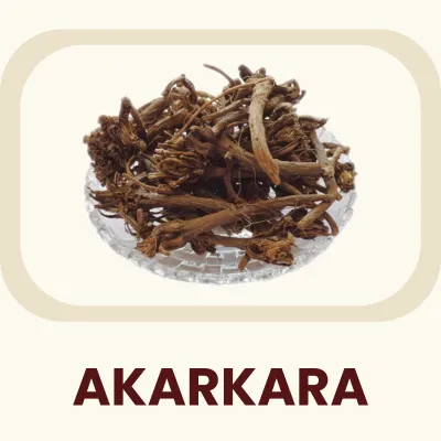 An Ayurvedic root known for its distinct, pungent taste and warming, stimulating properties. Primary Benefit: Traditionally used to support healthy nerve function.